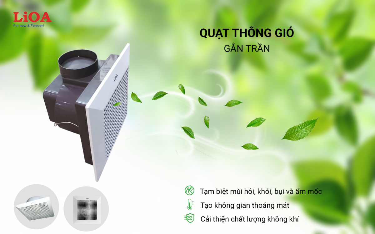 Quạt thông gió và quạt hút: Sự khác biệt tinh tế cho không gian trong lành